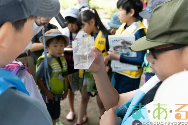 2025年6月1日_興津川で鮎の放流体験_