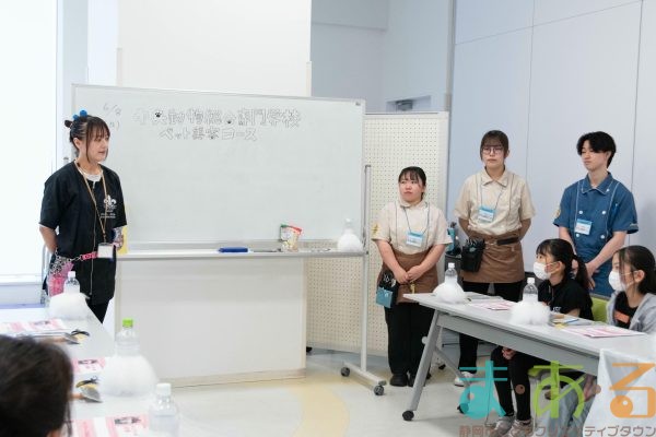 2025年6月8日_トリマーのお仕事_