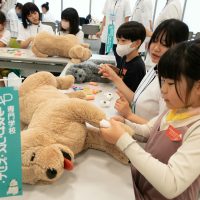 2025年6月8日_動物看護師のお仕事_