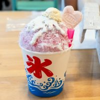2025年6月17日_静岡市立清水袖師小学校_MAR_5766_compressed