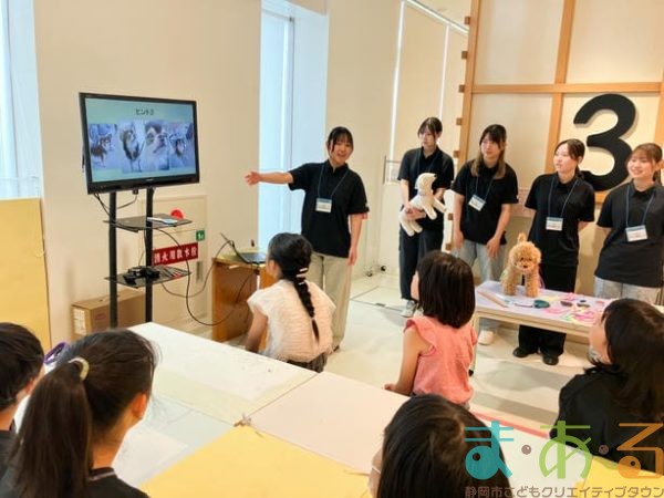 2025年6月7日_ドッグトレーナーのお仕事I
