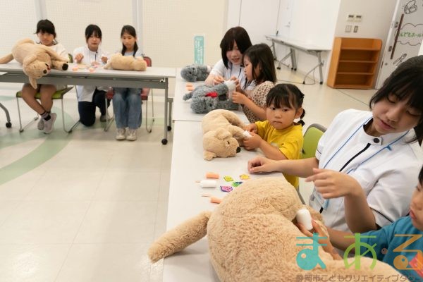 2025年6月8日_動物看護師のお仕事_