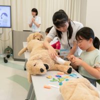 2025年6月8日_動物看護師のお仕事_