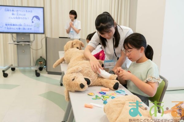 2025年6月8日_動物看護師のお仕事_