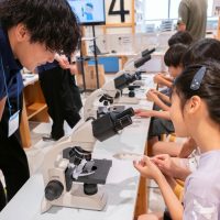 2025年6月15日_動物園水族館のお仕事