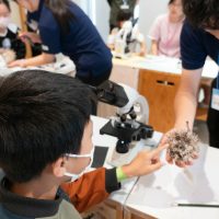 2025年6月15日_動物園水族館のお仕事