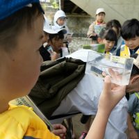 2025年6月1日_興津川で鮎の放流体験_