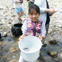 2025年6月1日_興津川で鮎の放流体験_