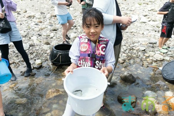 2025年6月1日_興津川で鮎の放流体験_