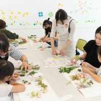 2025年6月1日_はじめてのお花教室