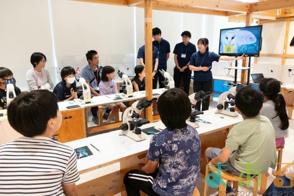 2025年6月15日_動物園水族館のお仕事