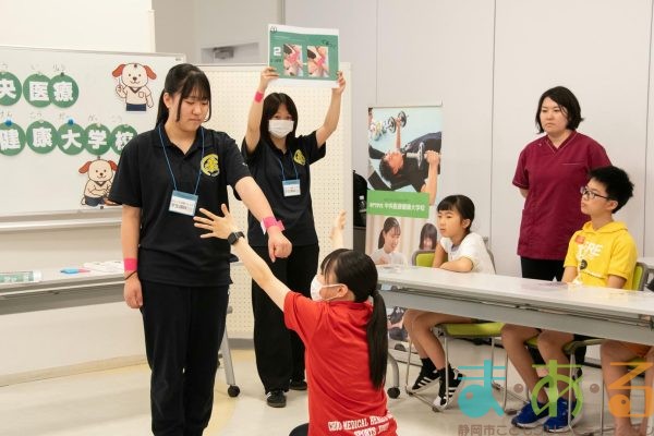 2025年6月14日_理学療法士・柔道整復師・歯科衛生士のお仕事