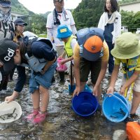 2025年6月1日_興津川で鮎の放流体験_