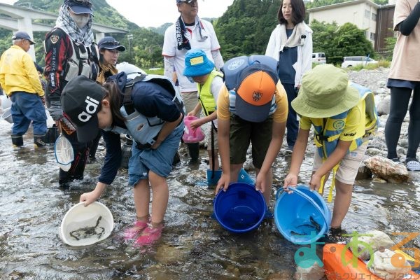 2025年6月1日_興津川で鮎の放流体験_
