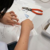 2025年6月21日_2極コイルモーターを作ろう！