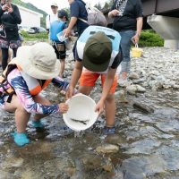 2025年6月1日_興津川で鮎の放流体験_