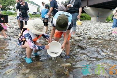 2025年6月1日_興津川で鮎の放流体験_