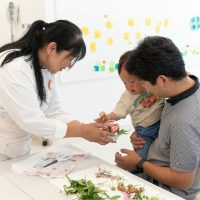 2025年6月1日_はじめてのお花教室