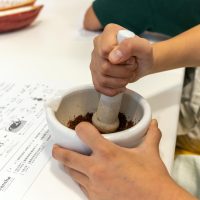 2025年6月17日_静岡市立清水袖師小学校_