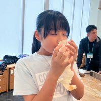 2025年6月15日_木造建築のお仕事