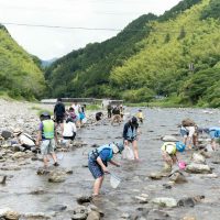 2025年6月1日_興津川で鮎の放流体験_