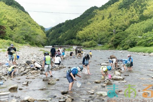 2025年6月1日_興津川で鮎の放流体験_