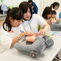 2025年6月8日_動物看護師のお仕事_
