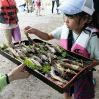2025年6月1日_興津川で鮎の放流体験_