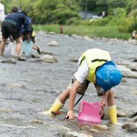 2025年6月1日_興津川で鮎の放流体験_