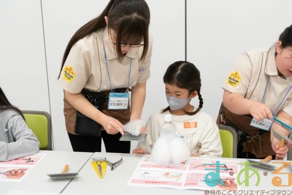 2025年6月8日_トリマーのお仕事_