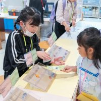 2025年5月25日_こどもバザール