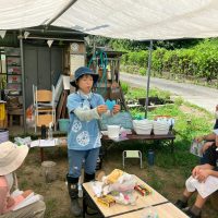 2025年7月21日_夏の里山で藍の生葉染め体験