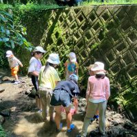2025年7月21日_夏の里山で藍の生葉染め体験