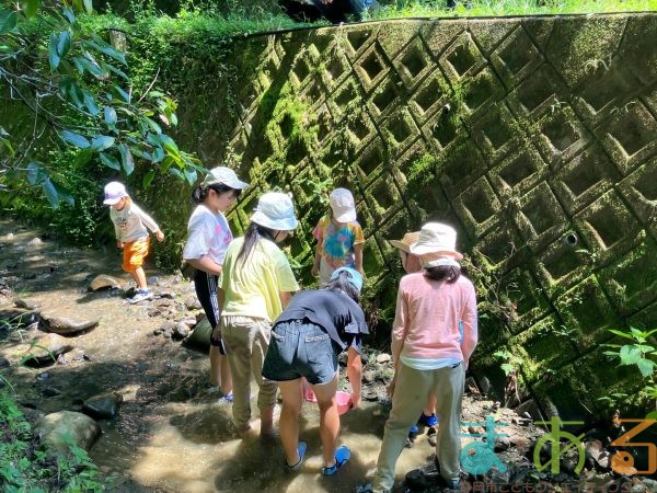 2025年7月21日_夏の里山で藍の生葉染め体験