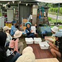2025年7月21日_夏の里山で藍の生葉染め体験