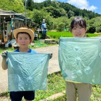 2025年7月21日_夏の里山で藍の生葉染め体験