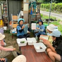 2025年7月21日_夏の里山で藍の生葉染め体験