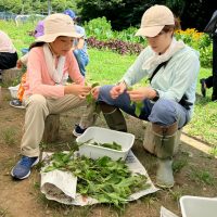 2025年7月21日_夏の里山で藍の生葉染め体験