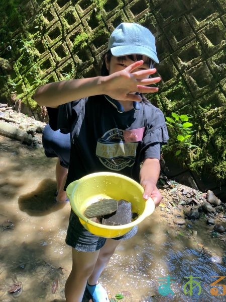 2025年7月21日_夏の里山で藍の生葉染め体験