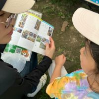 2025年7月21日_夏の里山で藍の生葉染め体験