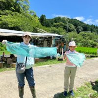 2025年7月21日_夏の里山で藍の生葉染め体験