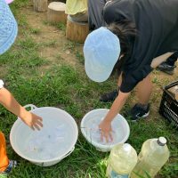 2025年7月21日_夏の里山で藍の生葉染め体験