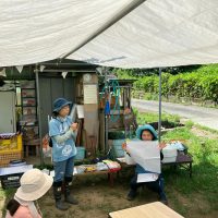 2025年7月21日_夏の里山で藍の生葉染め体験