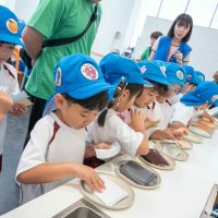 2025年7月4日_エルフのゆめ
