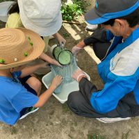 2025年7月21日_夏の里山で藍の生葉染め体験