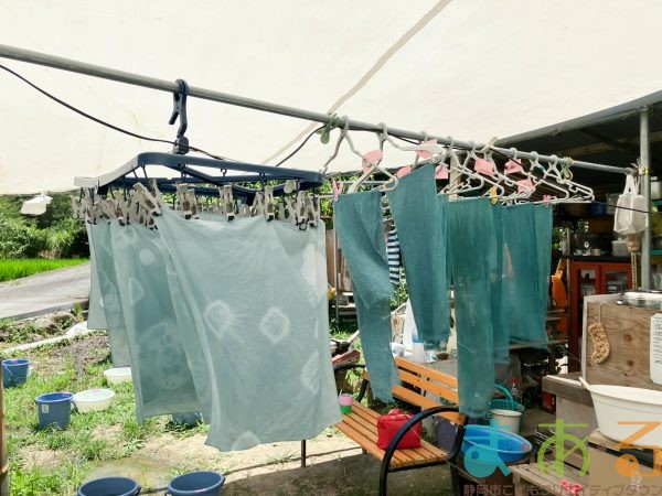 2025年7月21日_夏の里山で藍の生葉染め体験