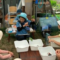 2025年7月21日_夏の里山で藍の生葉染め体験