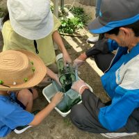 2025年7月21日_夏の里山で藍の生葉染め体験
