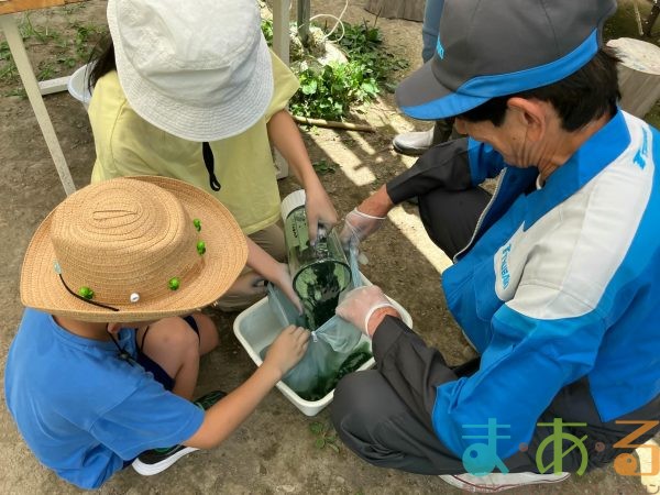 2025年7月21日_夏の里山で藍の生葉染め体験