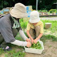2025年7月21日_夏の里山で藍の生葉染め体験